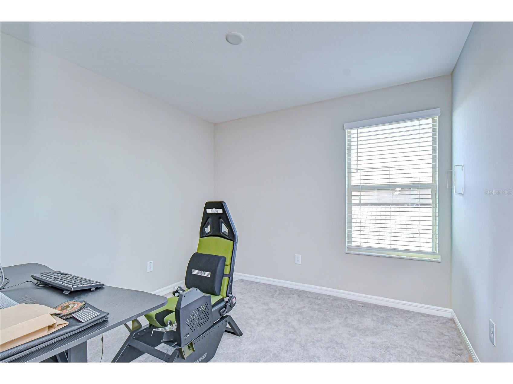 10013 Rosemary Leaf Lane Riverview FL 33578 TB8466931 image38