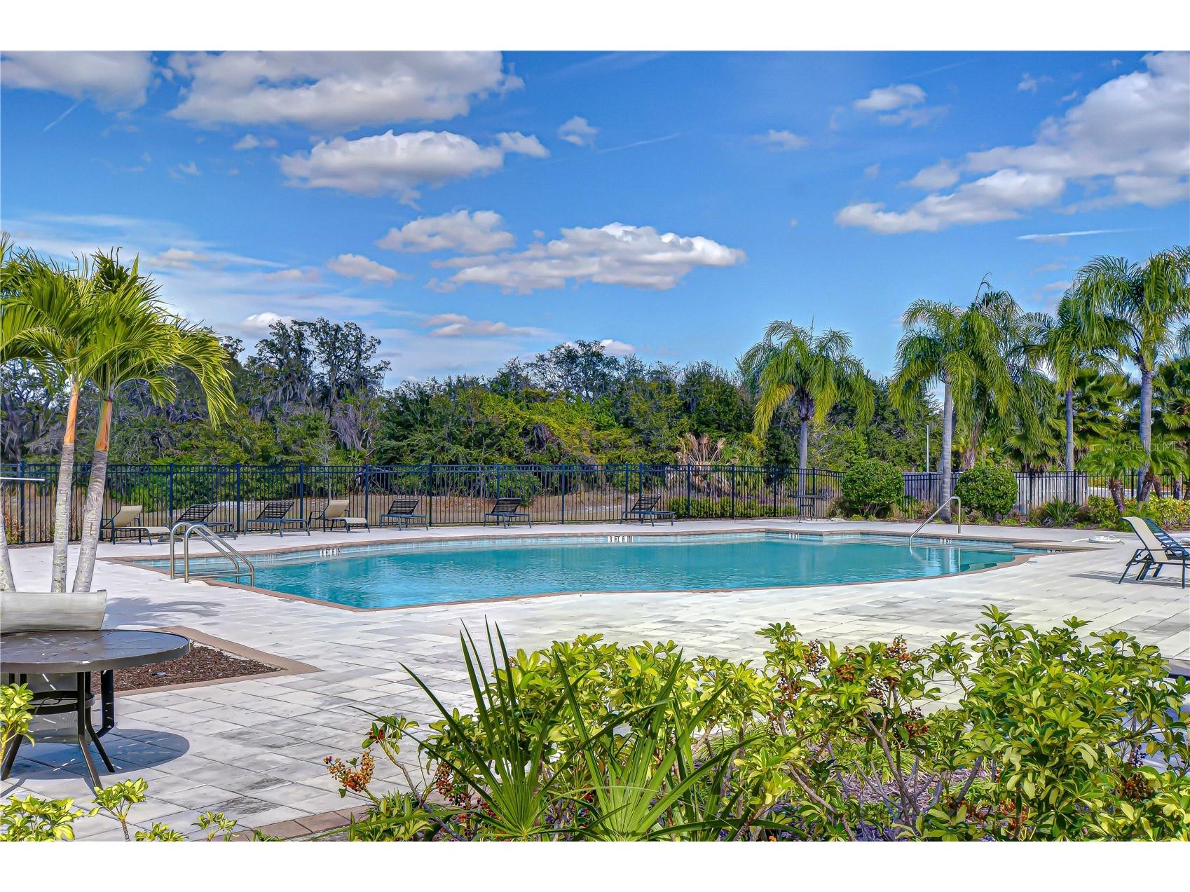 10013 Rosemary Leaf Lane Riverview FL 33578 TB8466931 image4