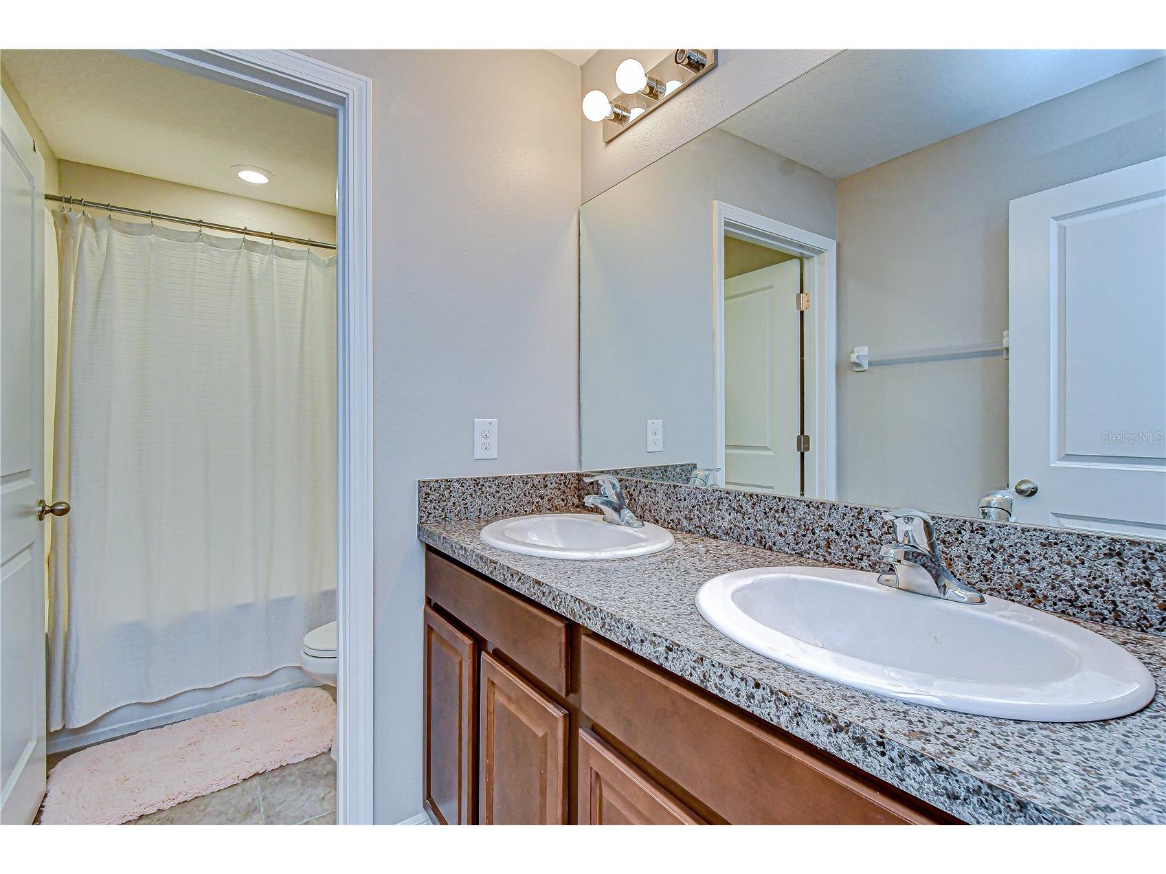 10013 Rosemary Leaf Lane Riverview FL 33578 TB8466931 image40