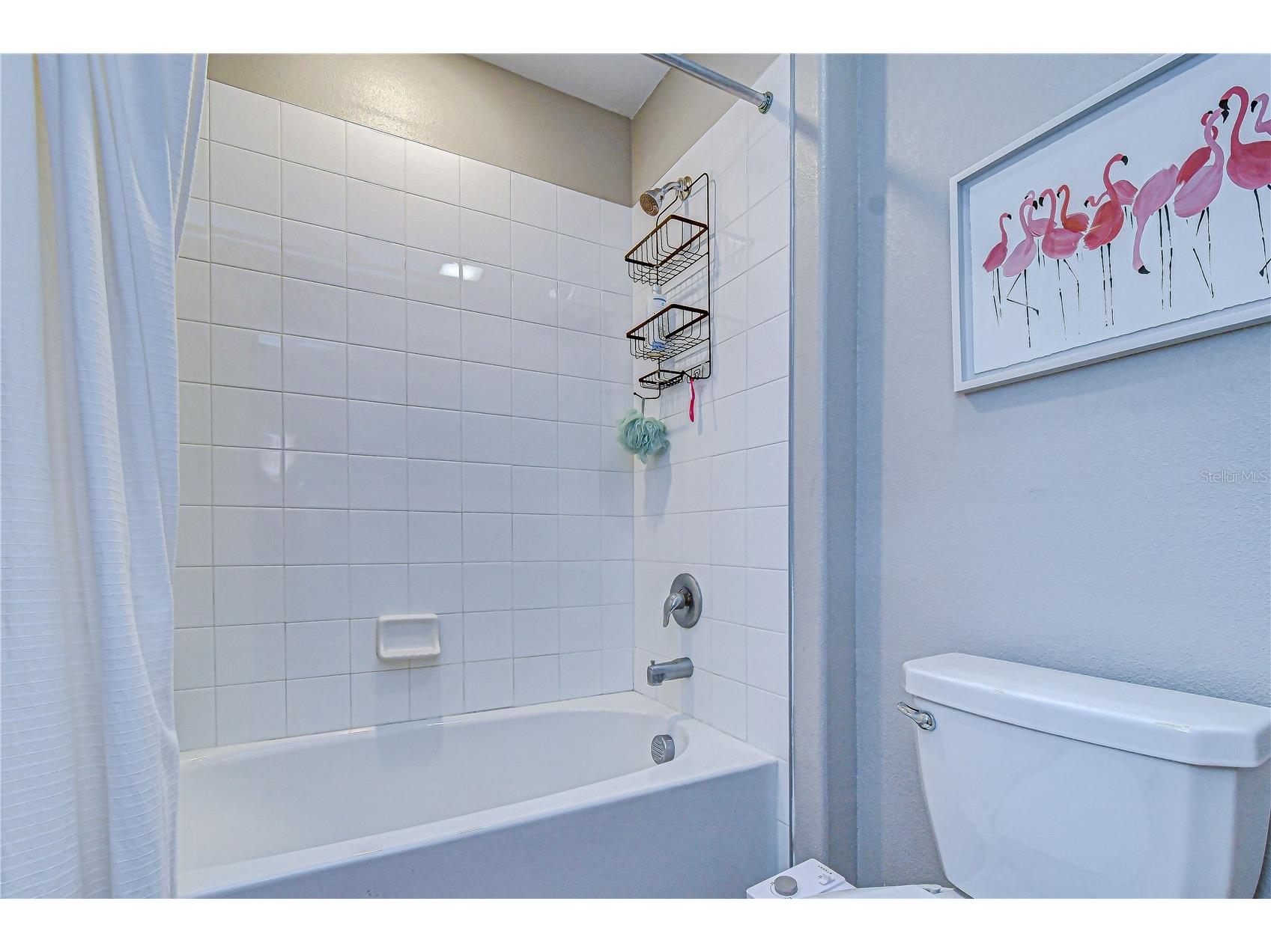 10013 Rosemary Leaf Lane Riverview FL 33578 TB8466931 image42