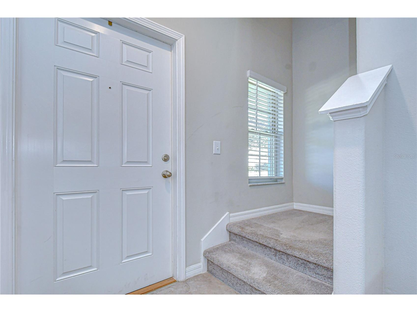 10013 Rosemary Leaf Lane Riverview FL 33578 TB8466931 image45