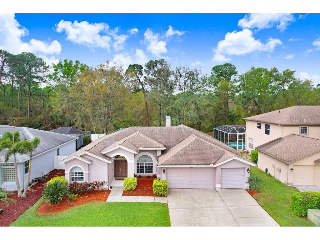 10014 Vista Pointe Drive Tampa FL 33635 TB8361580 image1