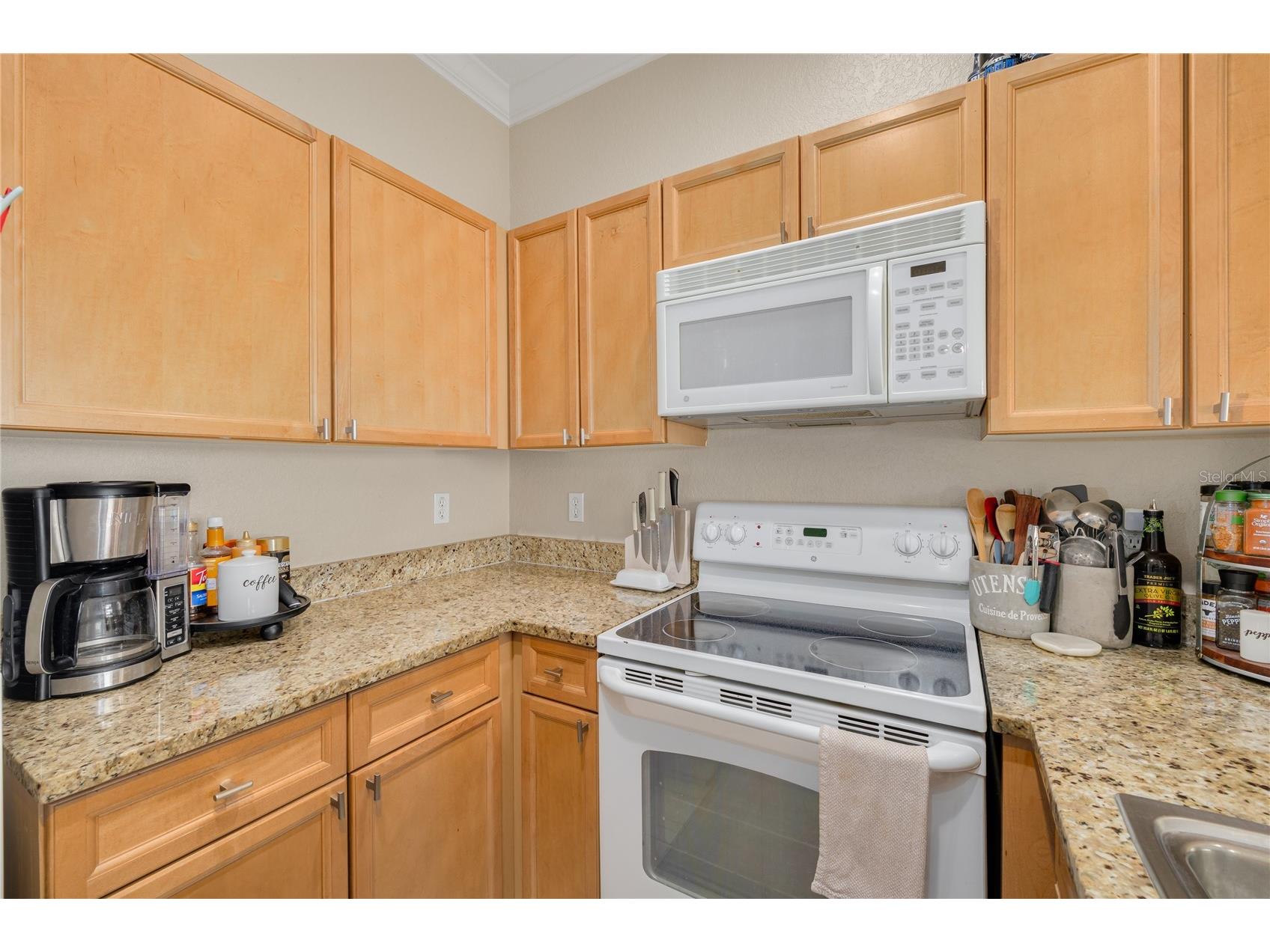 10015 6th Street N Saint Petersburg FL 33702 TB8531395 image11
