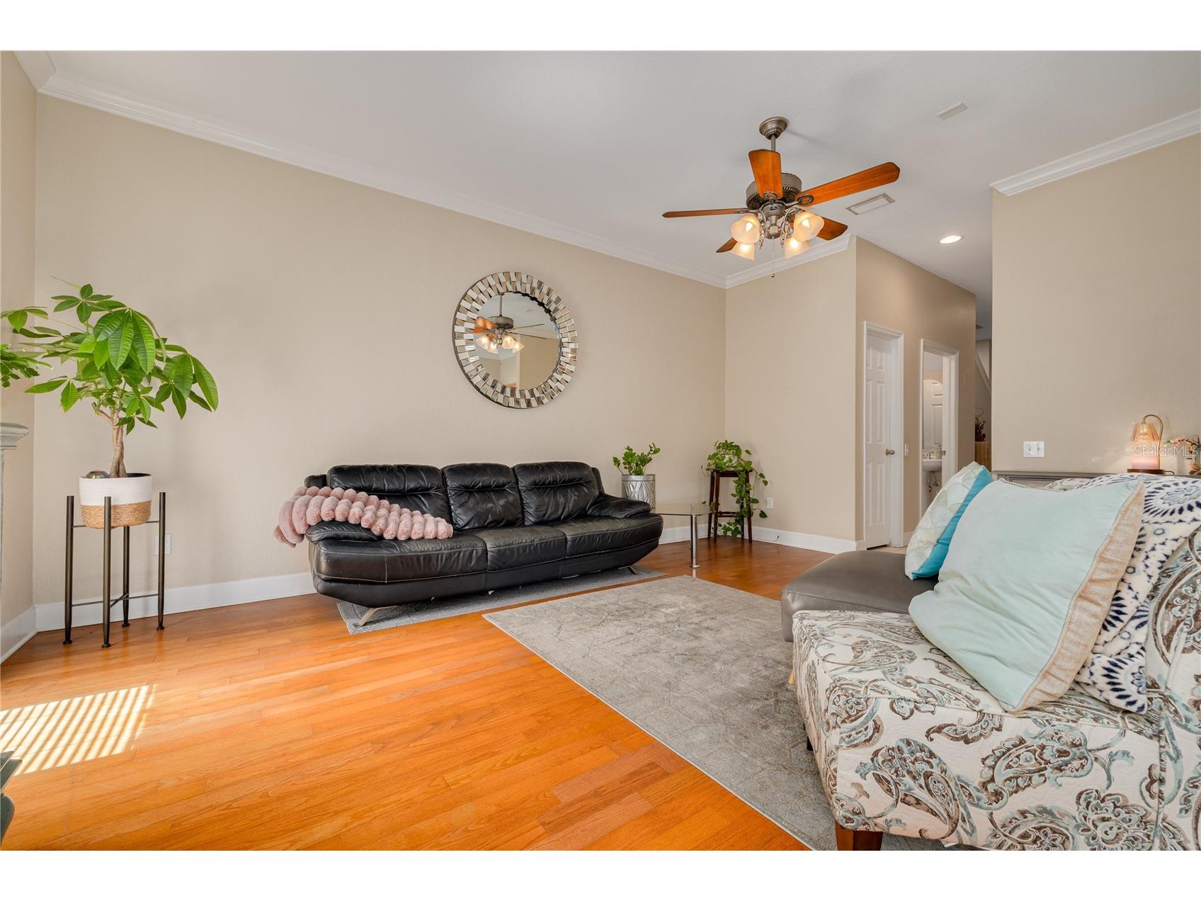 10015 6th Street N Saint Petersburg FL 33702 TB8531395 image7