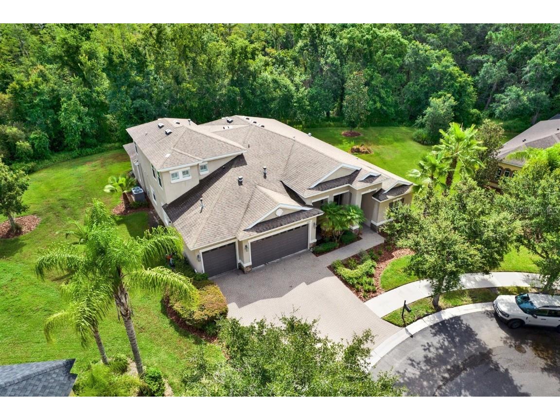 10015 Hazelnut Court Tampa FL 33647 TB8415953 image1