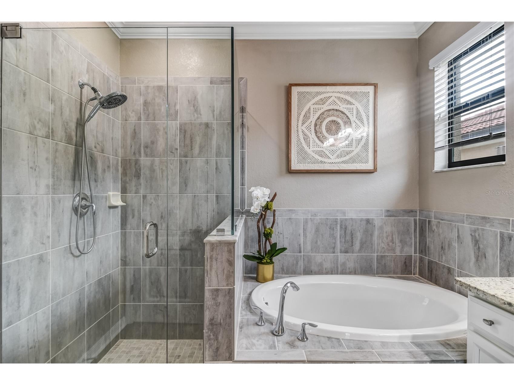 10015 Marbella Drive Bradenton FL 34211 A4670061 image33