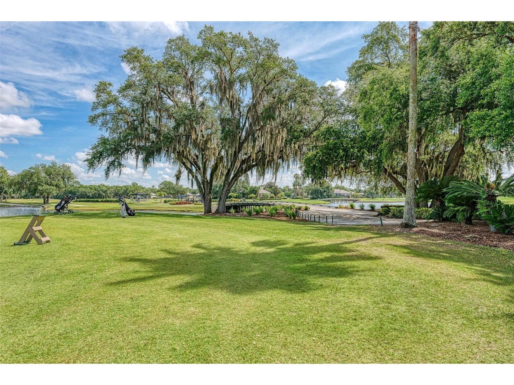 10015 Marbella Drive Bradenton FL 34211 A4670061 image54