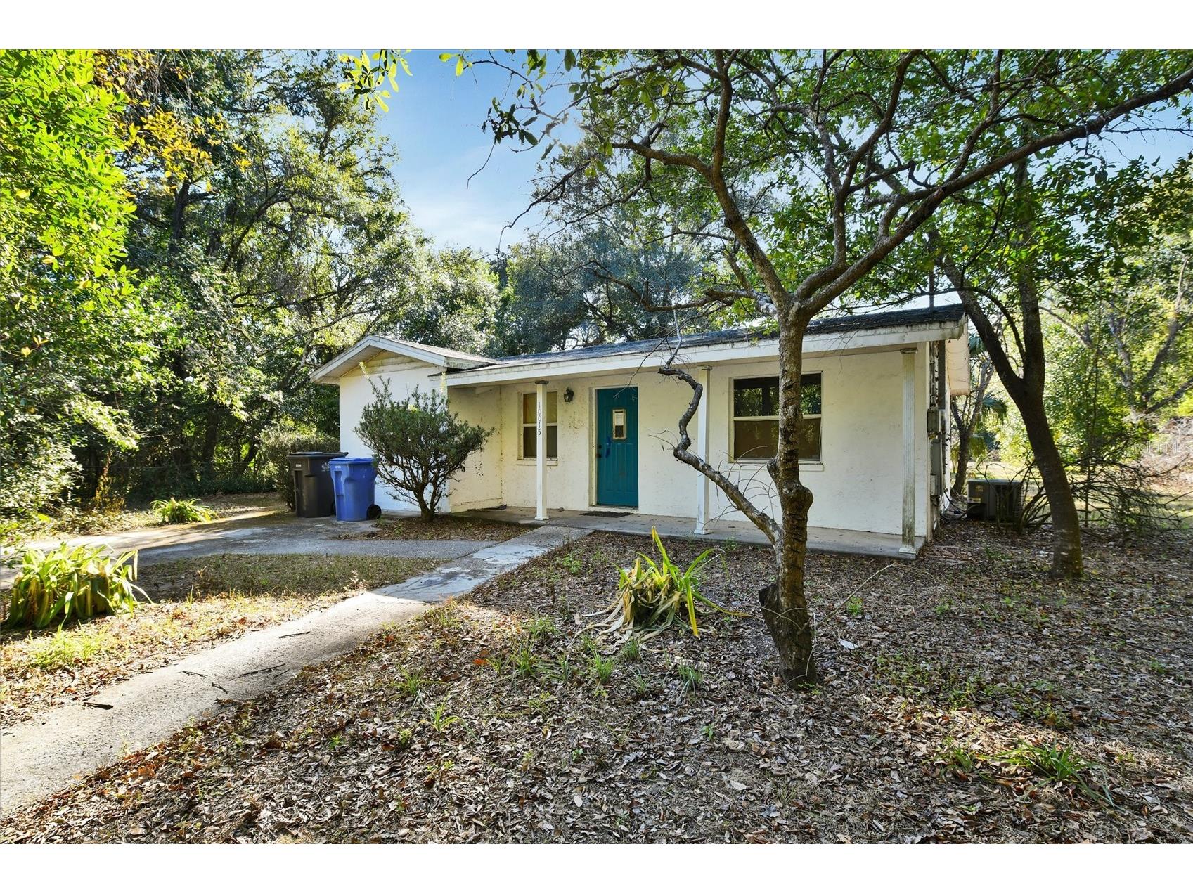 10015 Ohio Avenue Thonotosassa FL 33592 TB8498706 image1