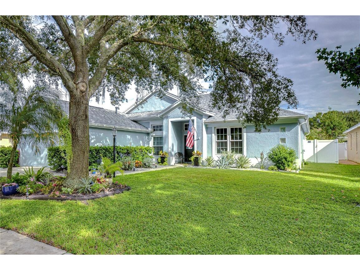 10015 Remington Drive Riverview FL 33578 - LAKE ST. CHARLES TB8308854 image1