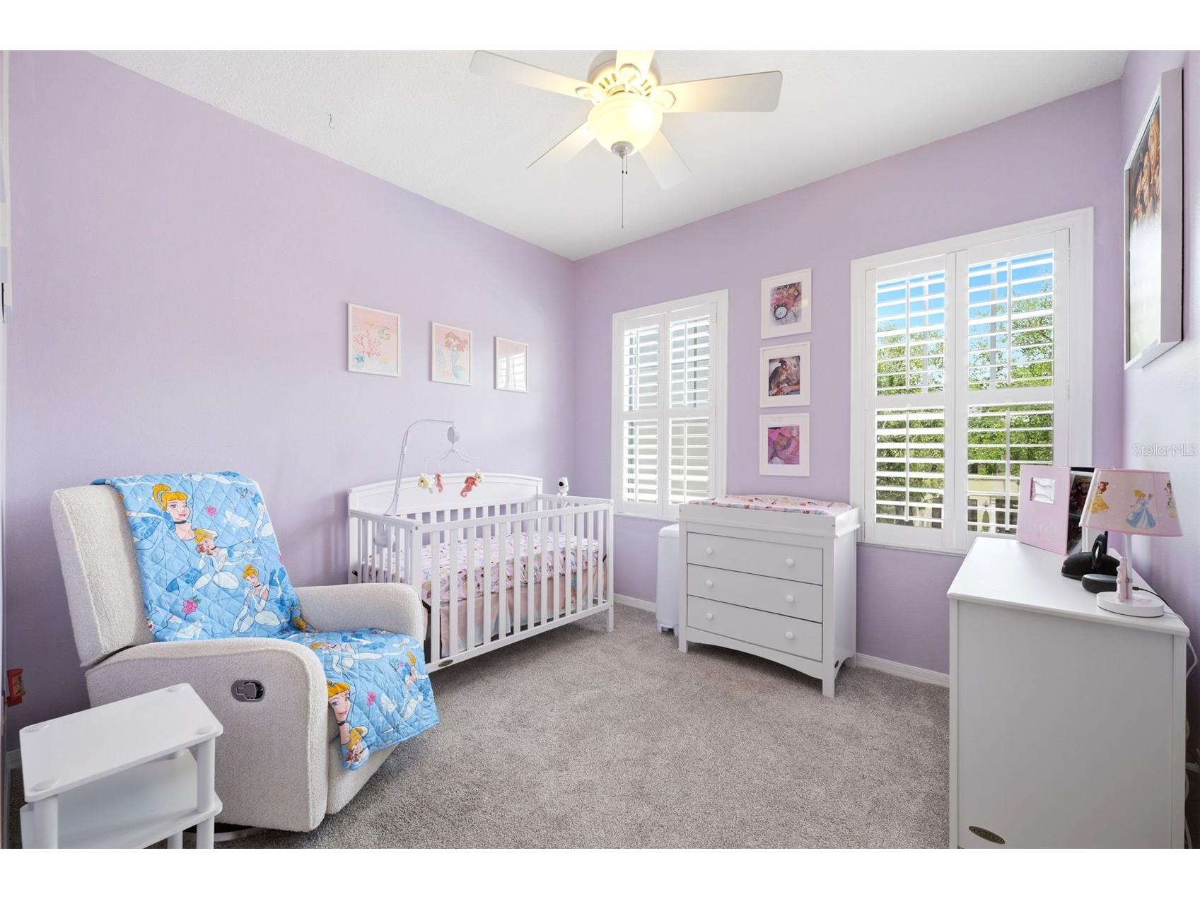 10016 Bentley Way Tampa FL 33626 TB8514022 image28
