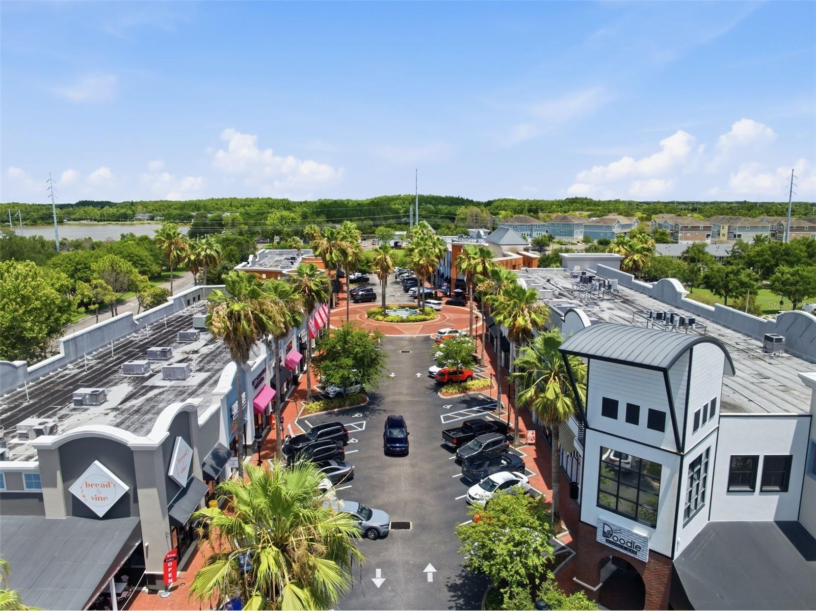 10016 Bentley Way Tampa FL 33626 TB8514022 image47