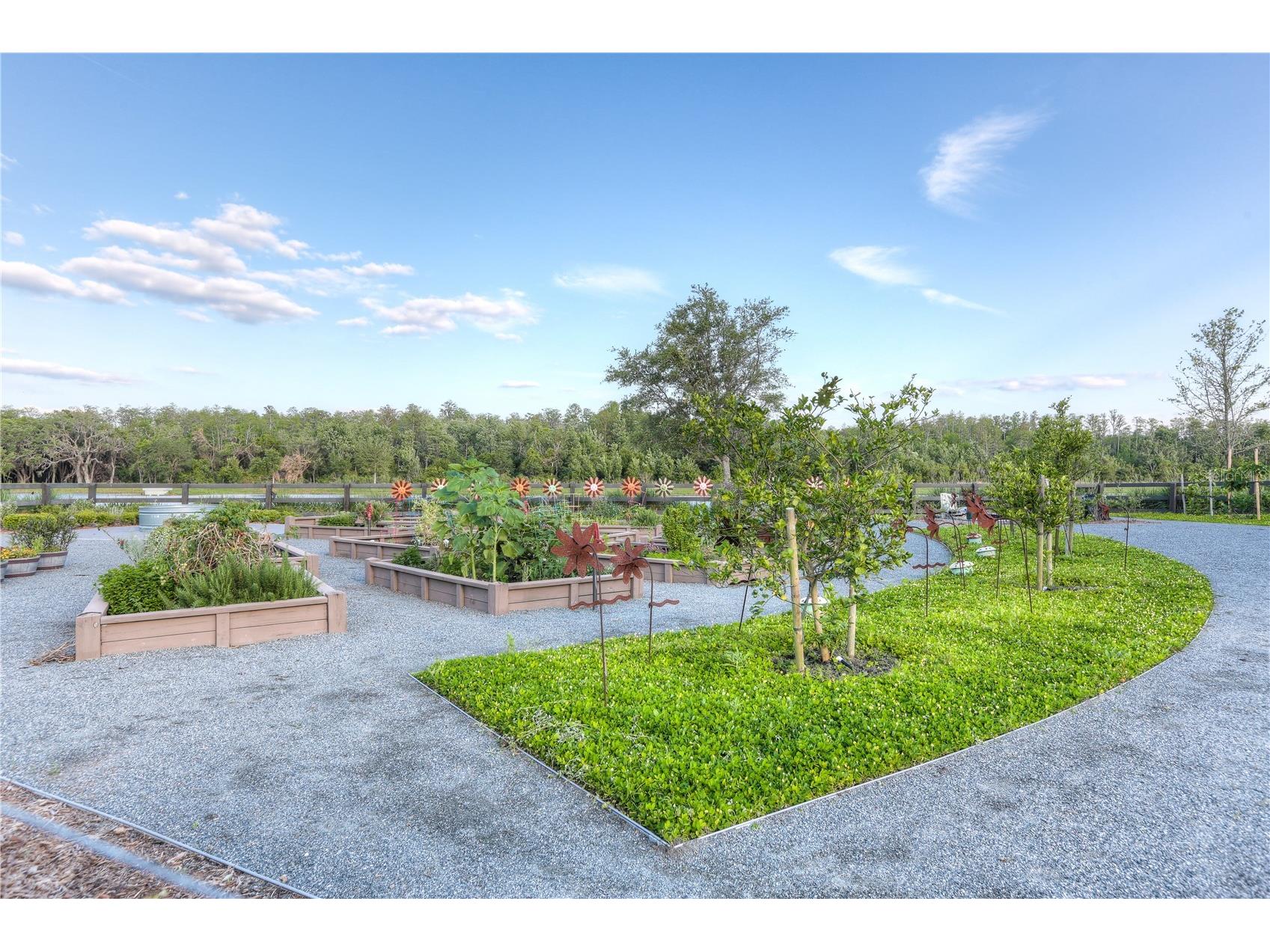 10016 Peebles Street Orlando FL 32827 O6402755 image6