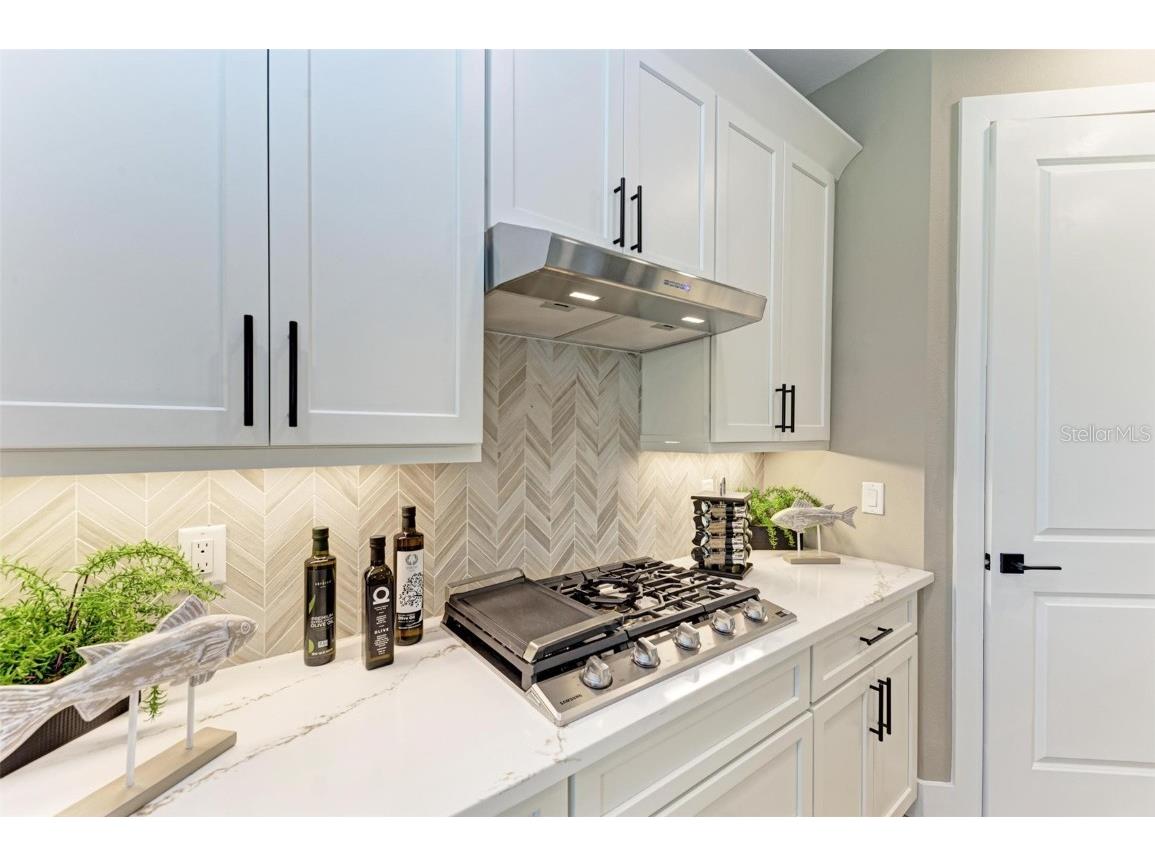 10016 Rembrandt Way #101 Bradenton FL 34212 A4674023 image9