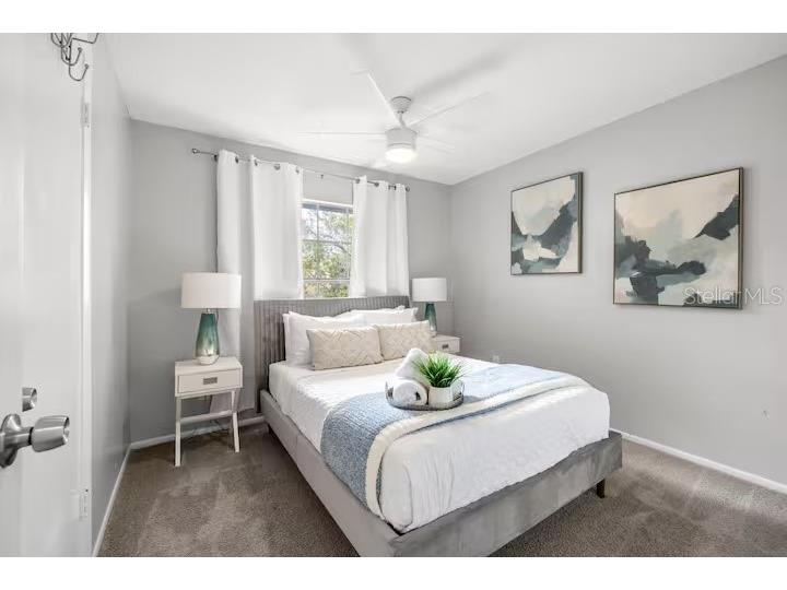 10017 86th Street Seminole FL 33777 TB8503779 image12