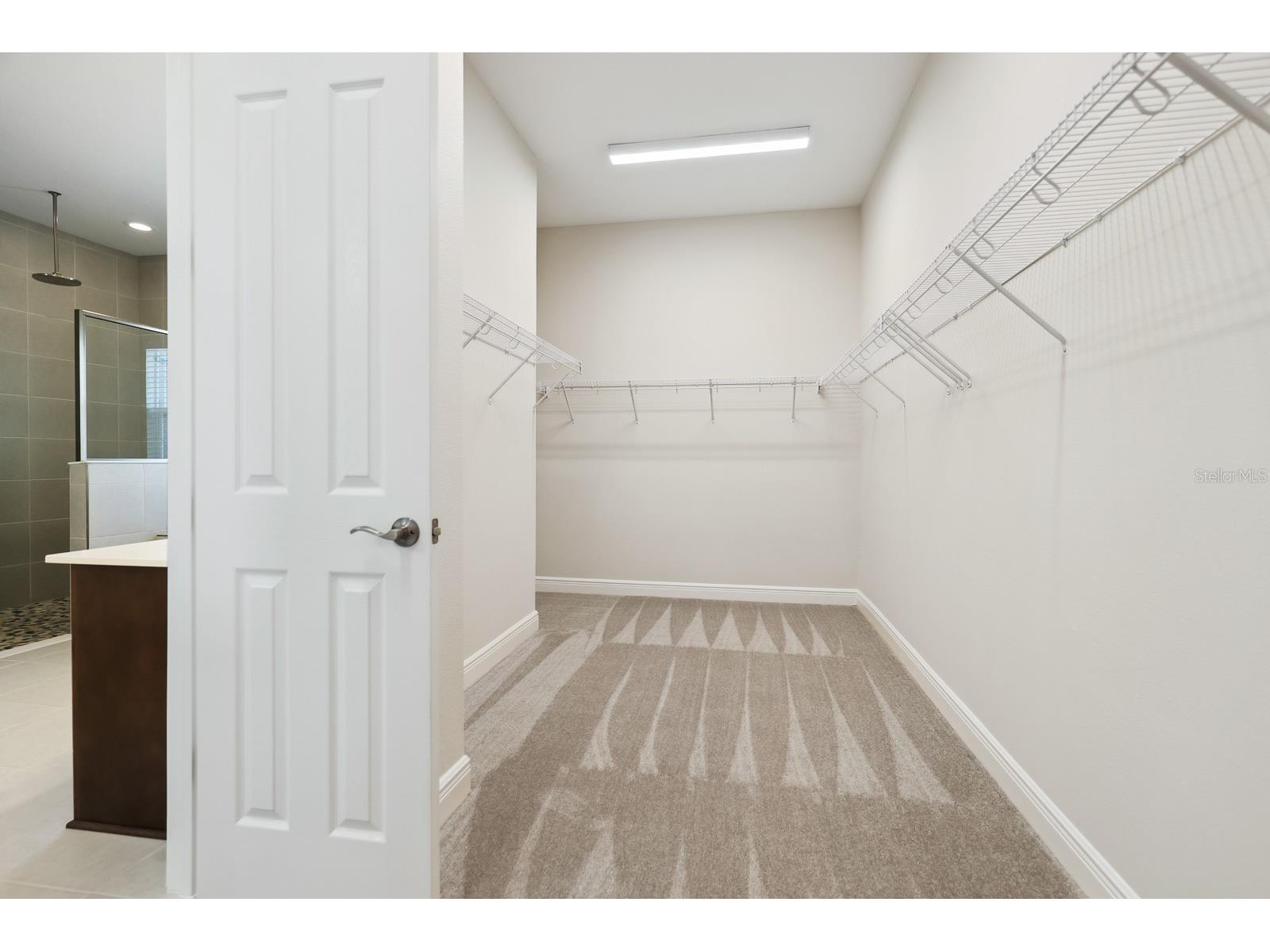 10017 Meadowrun Drive Lithia FL 33547 TB8437192 image19