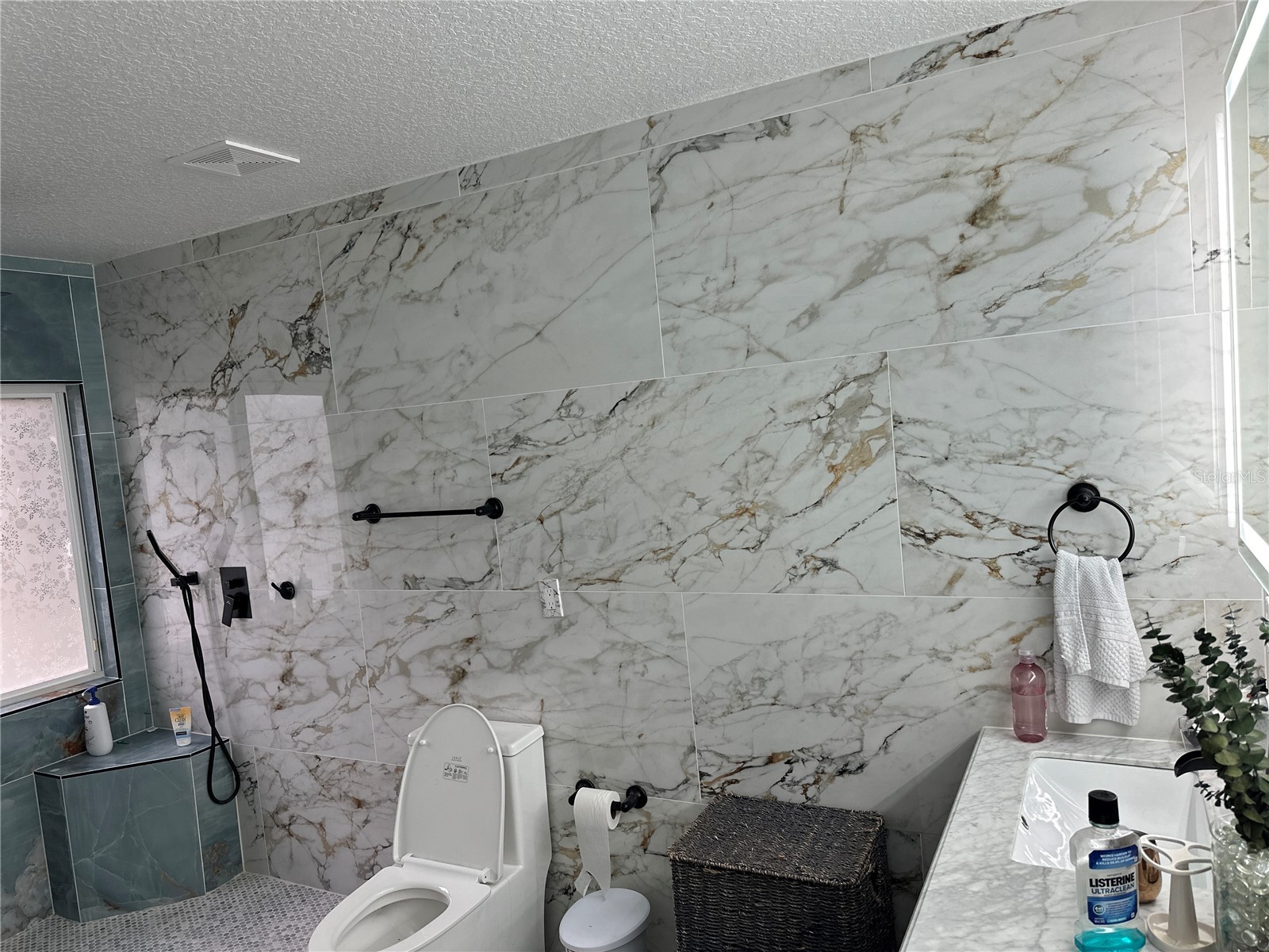 10018 Chorlton Circle Orlando FL 32832 S5150623 image22