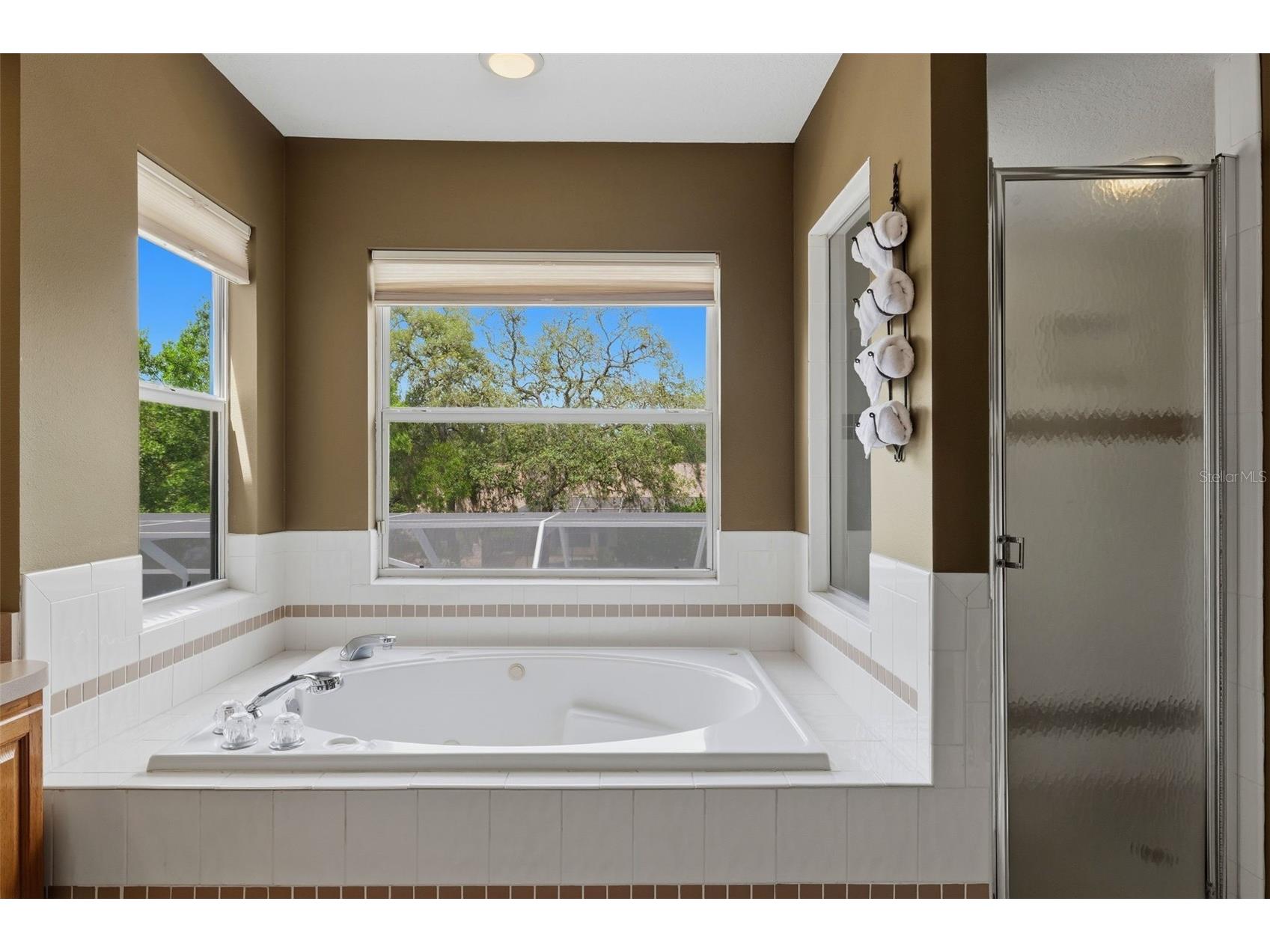 10019 Burbank Court New Port Richey FL 34654 TB8507938 image29