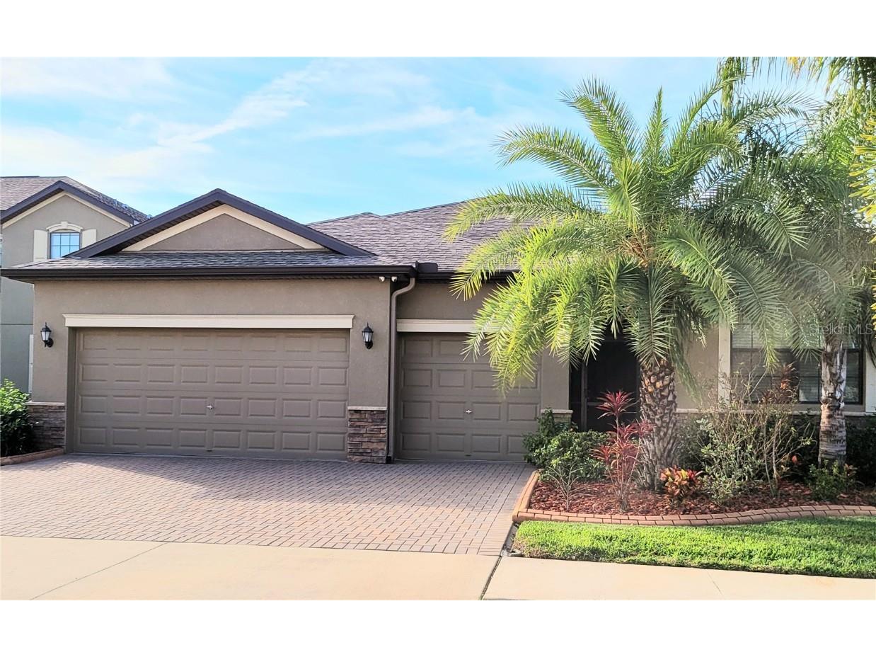 10019 Celtic Ash Drive Ruskin FL 33573 T3355024 image1