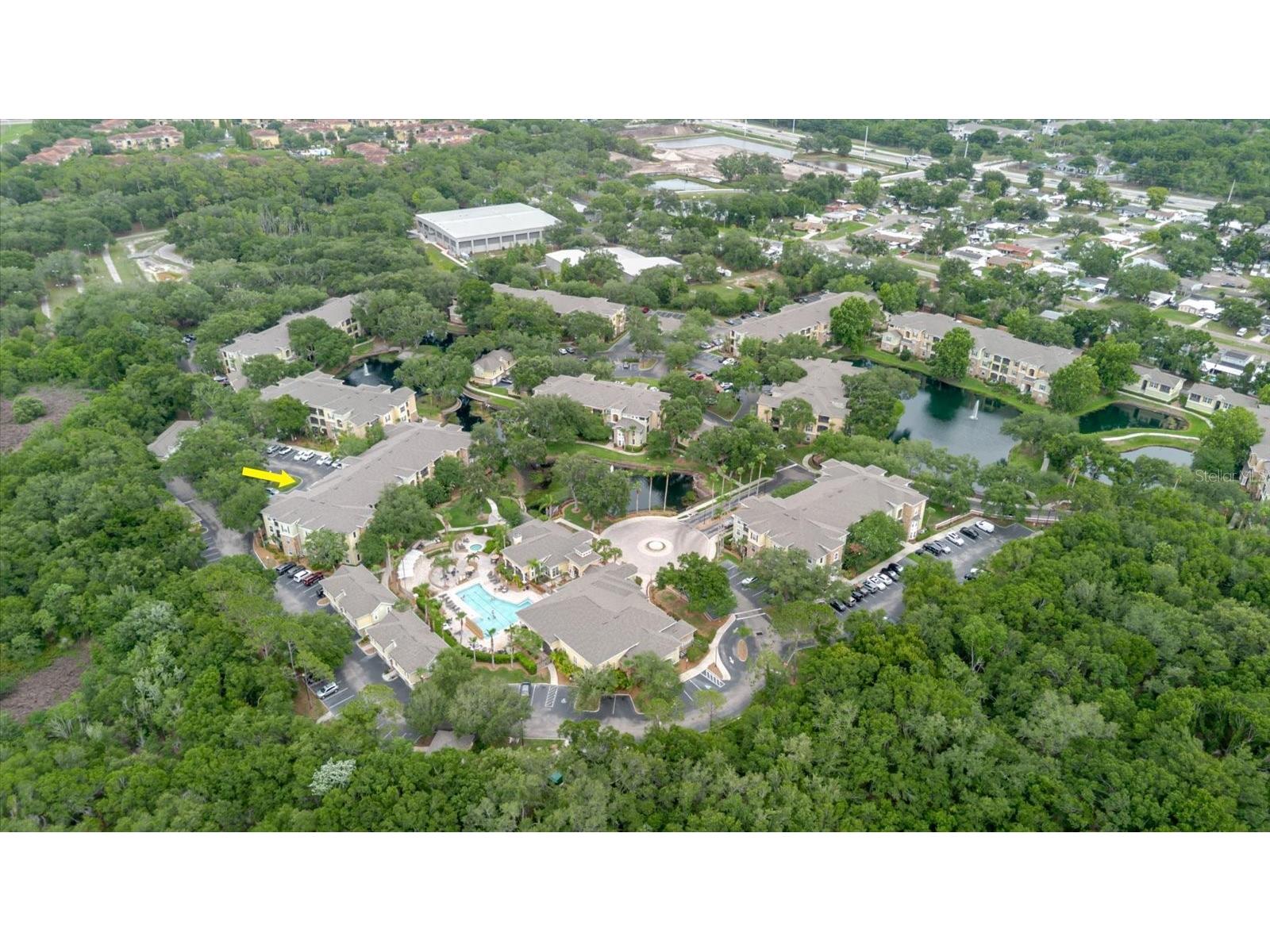 10019 Courtney Palms Boulevard #101 Tampa FL 33619 TB8514056 image43