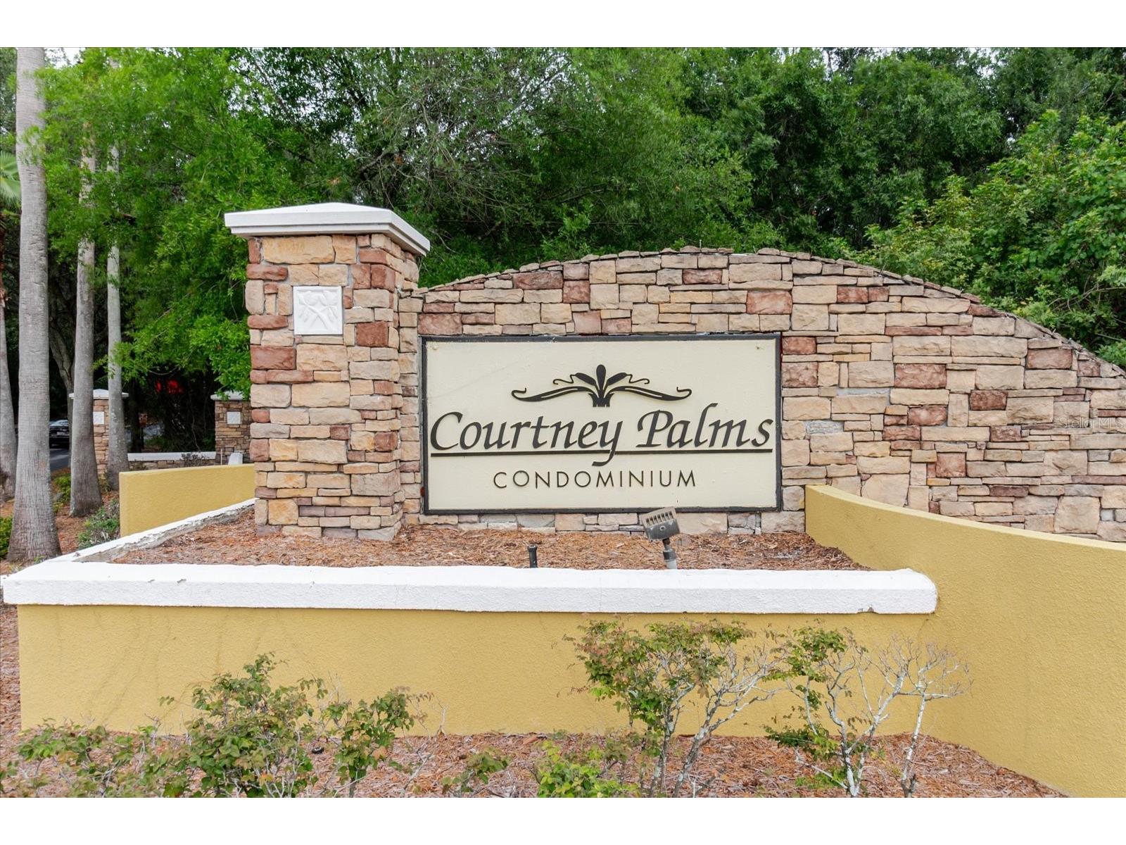 10019 Courtney Palms Boulevard #101 Tampa FL 33619 TB8514056 image50