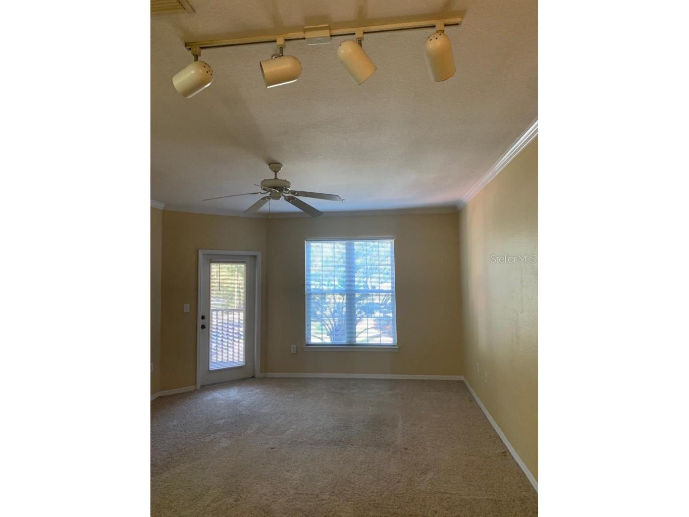 10019 Courtney Palms Boulevard #201 Tampa FL 33619 TB8516403 image9