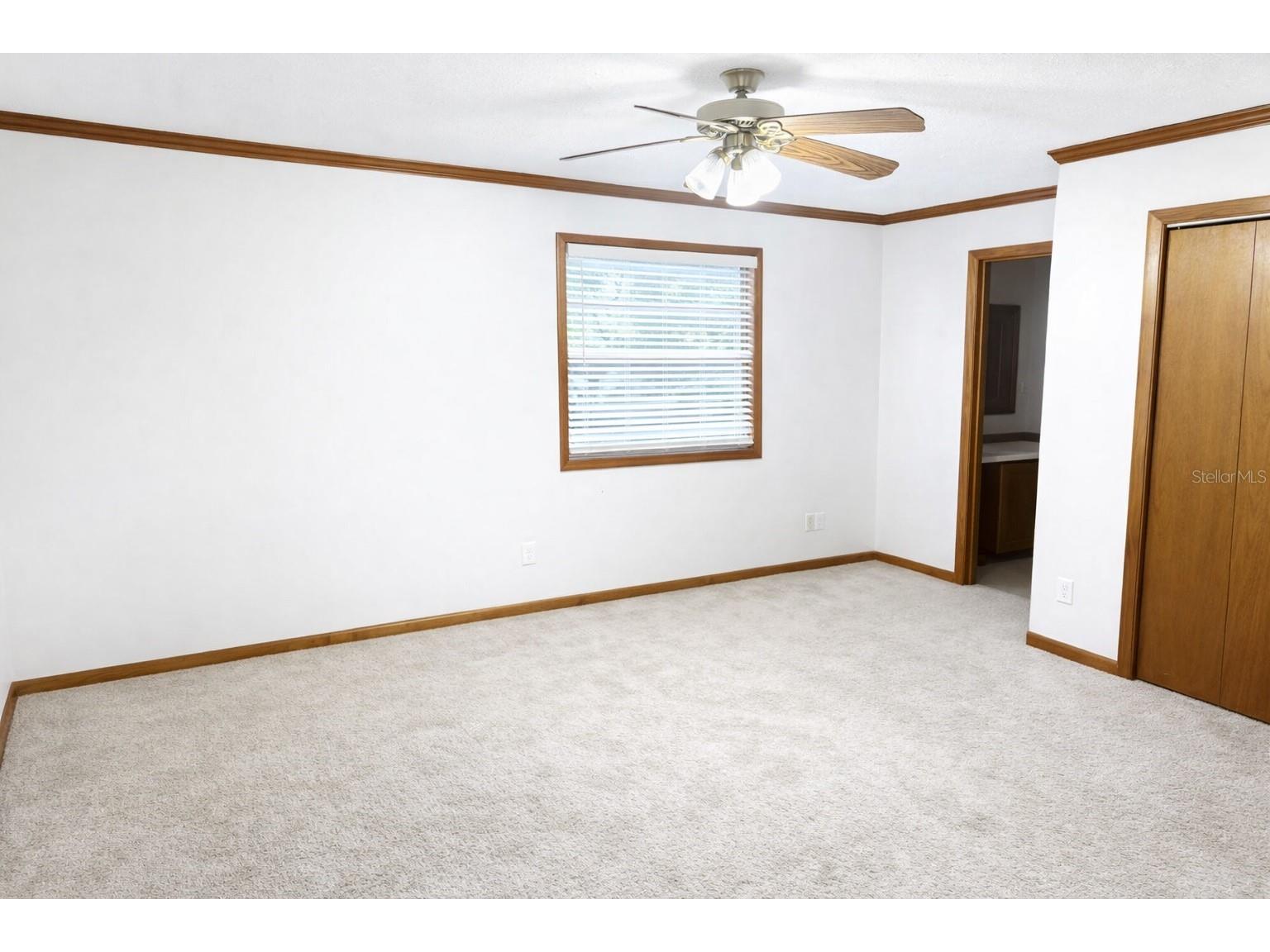 10019 Curley Road San Antonio FL 33576 TB8504043 image6