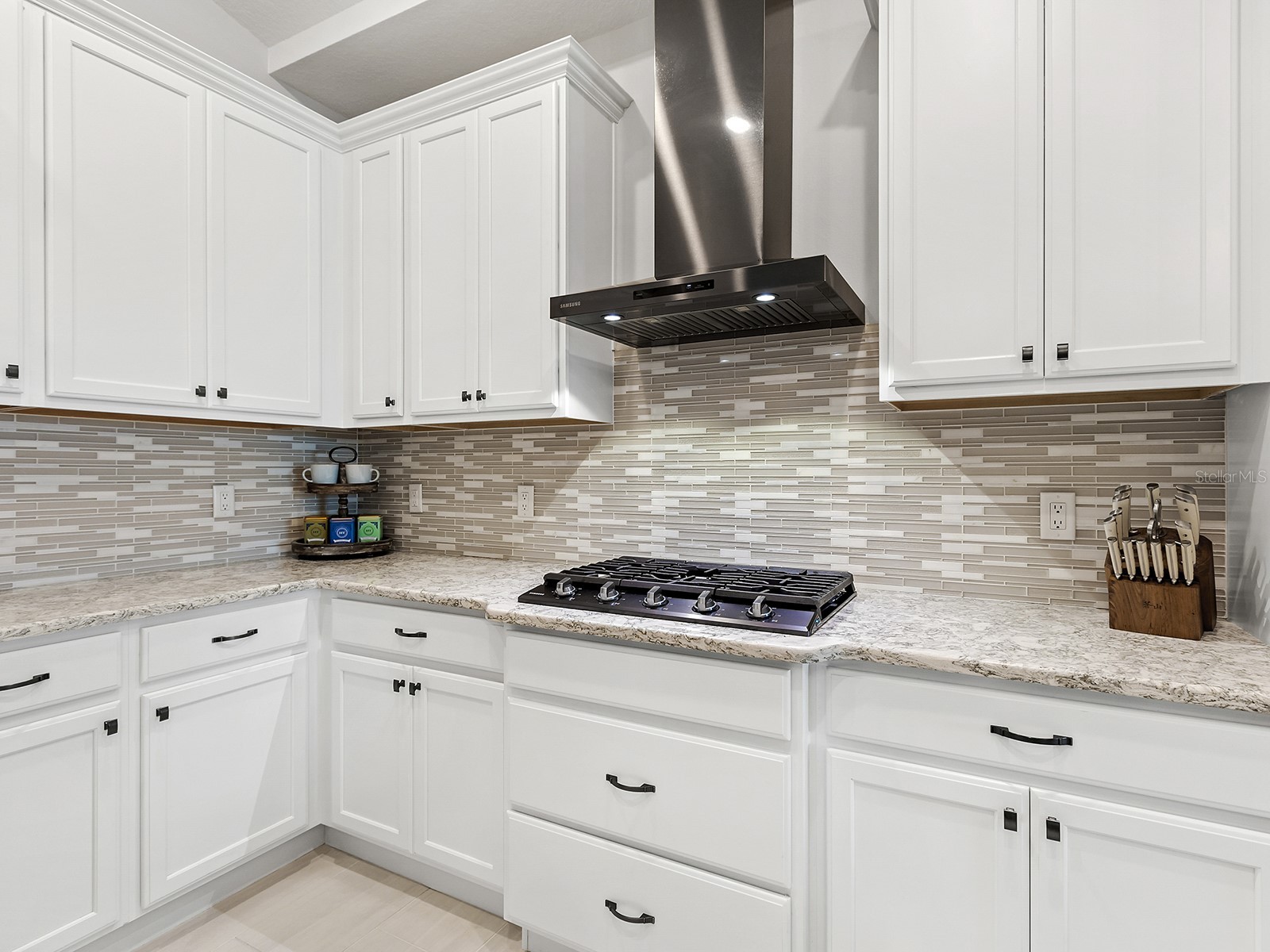 10019 Degas Terrace Bradenton FL 34212 A4692406 image15