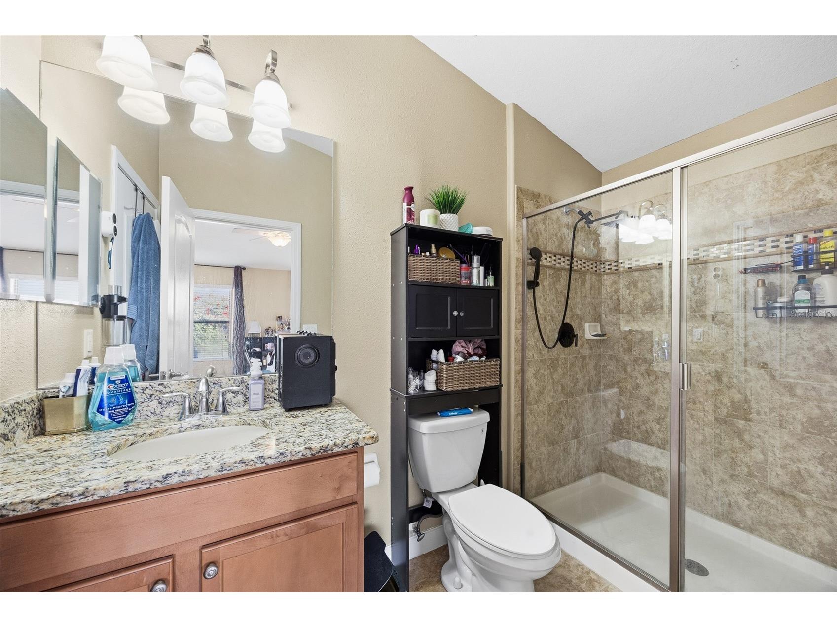 10019 Newminster Loop Ruskin FL 33573 TB8466327 image18