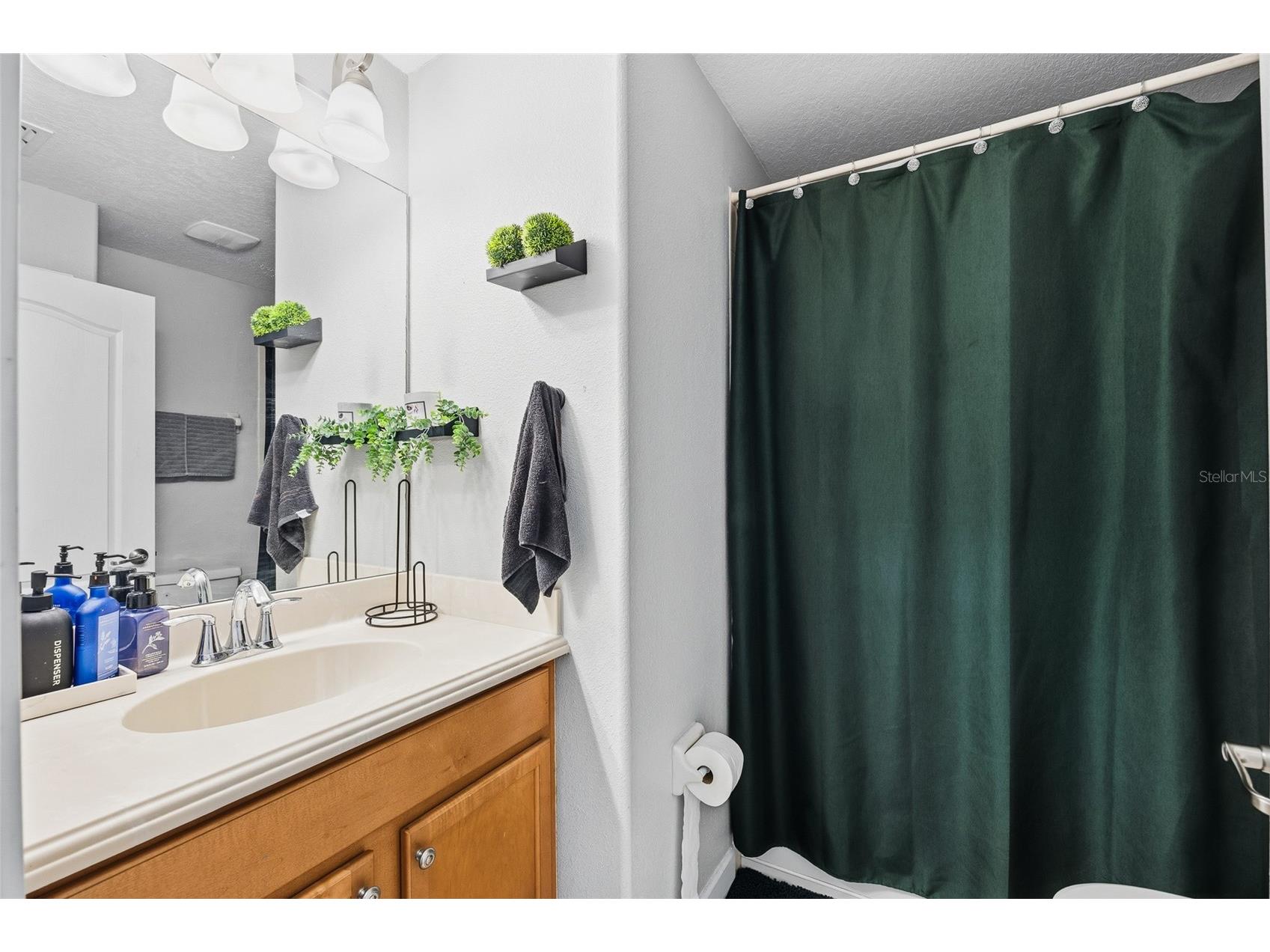 10019 Newminster Loop Ruskin FL 33573 TB8466327 image22