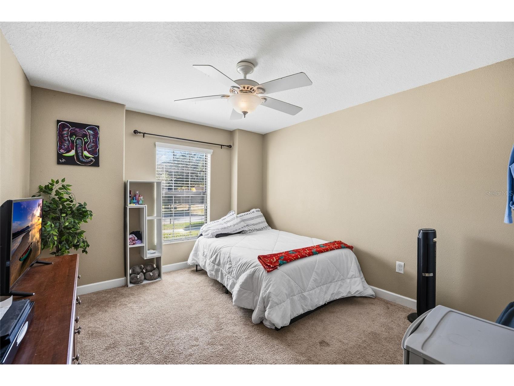 10019 Newminster Loop Ruskin FL 33573 TB8466327 image23