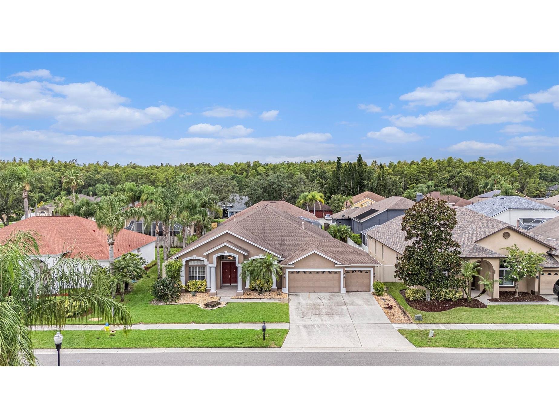 10019 Oxford Chapel Drive Tampa FL 33647 TB8408498 image1