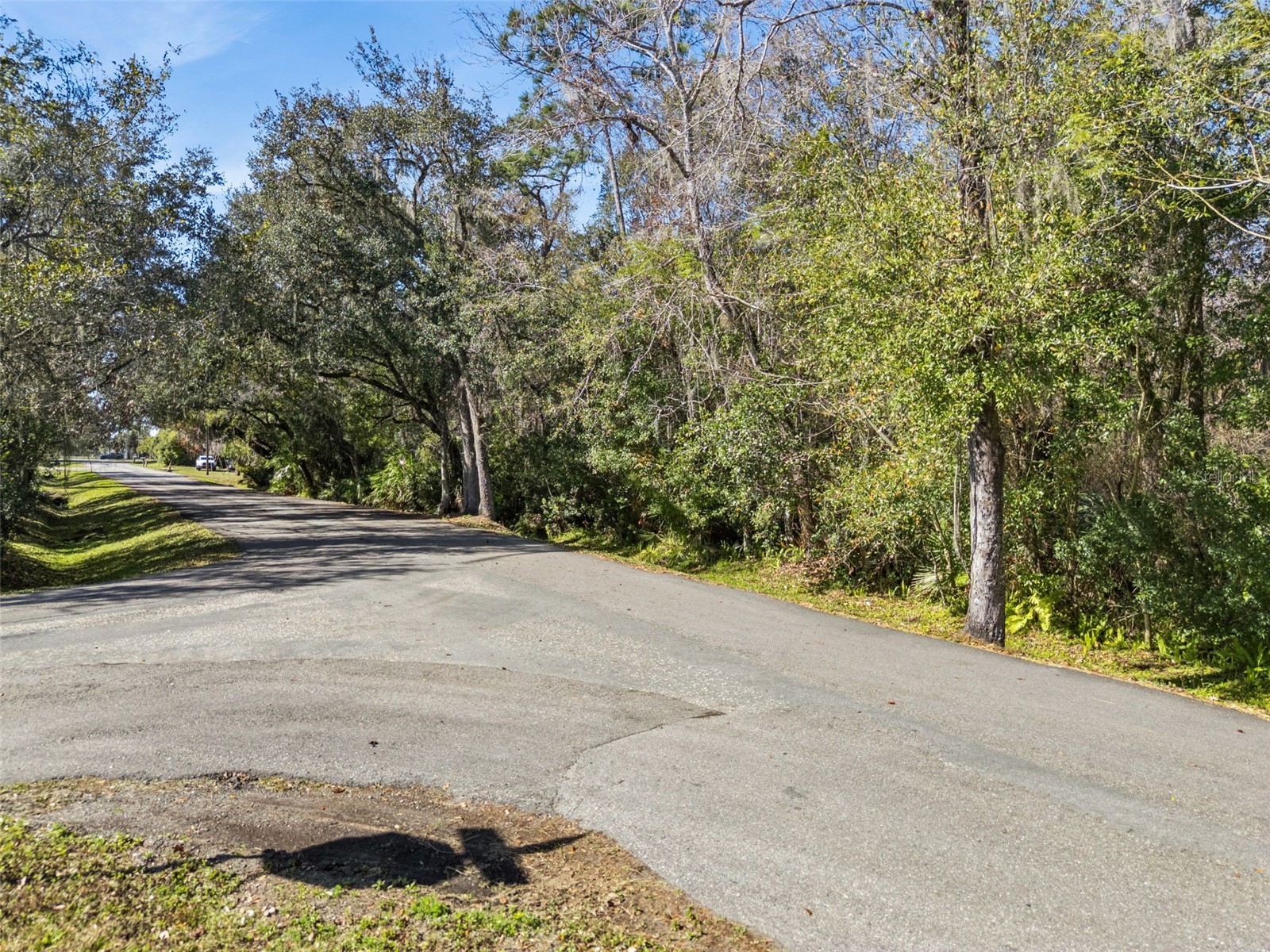 1002 Buist St Orlando FL 32828 O6377564 image1