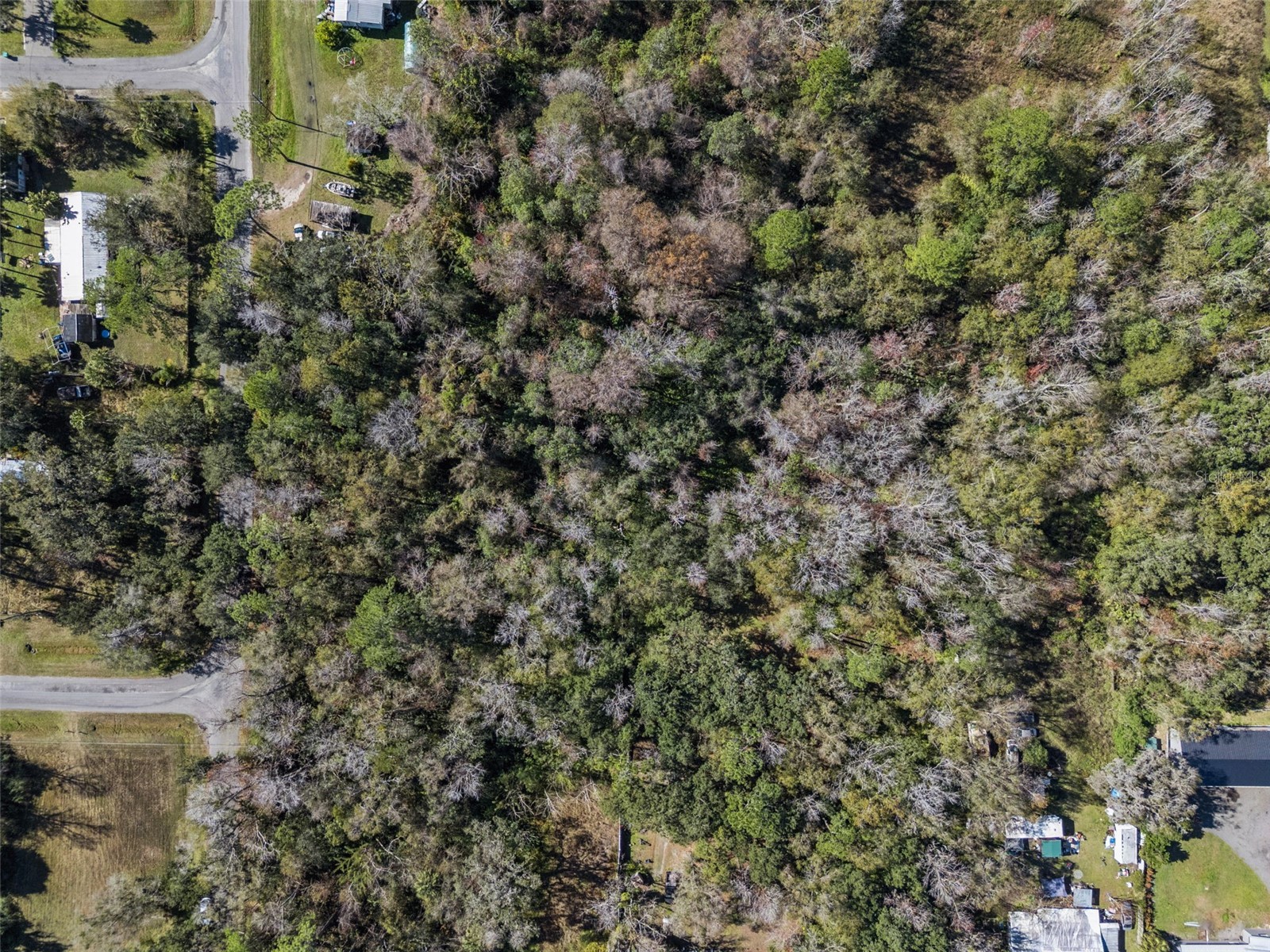 1002 Buist St Orlando FL 32828 O6377564 image8
