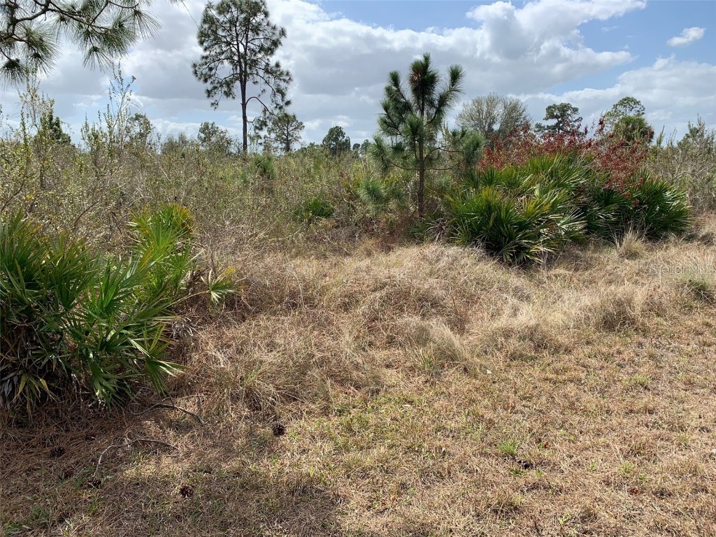 1002 E 9th Street Lehigh Acres FL 33972 W7842590 image1