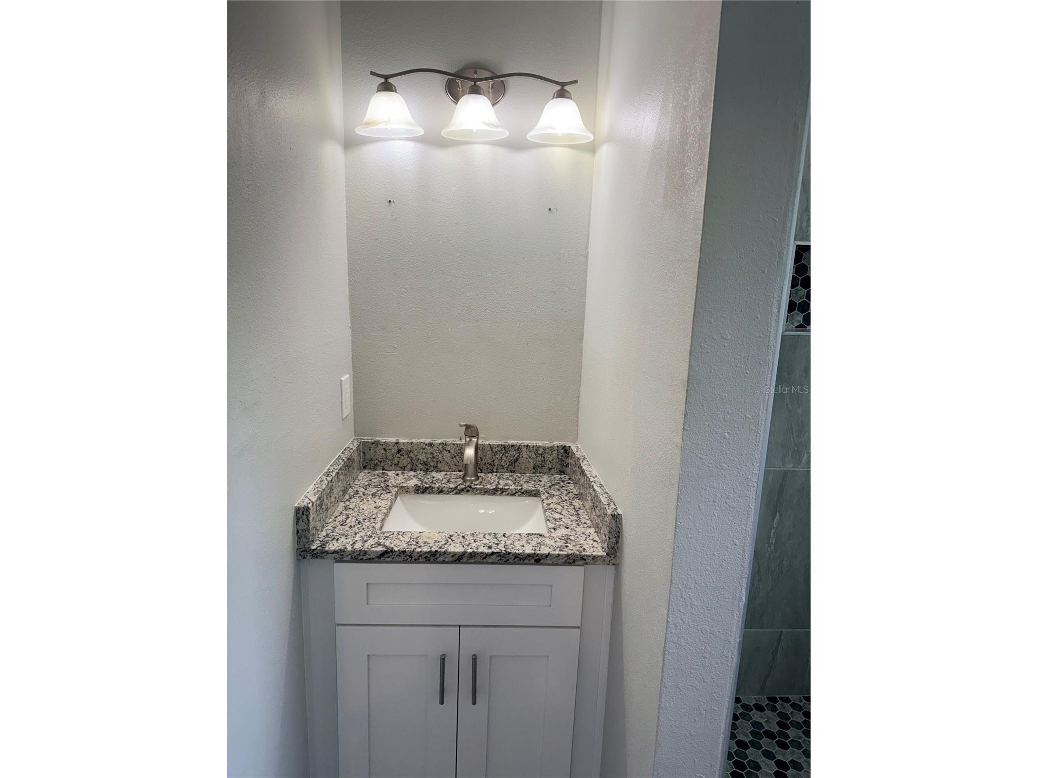 1002 E Bougainvillea Avenue Tampa FL 33612 TB8521355 image17