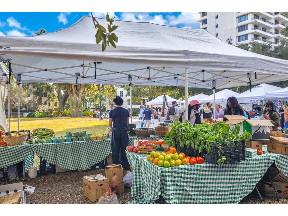 1002 E Robinson Street Orlando FL 32801 O6358964 image32