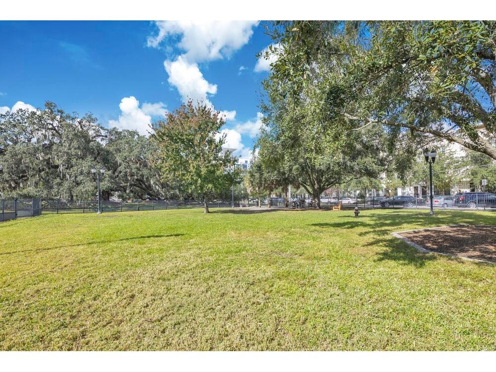 1002 E Robinson Street Orlando FL 32801 O6358964 image50