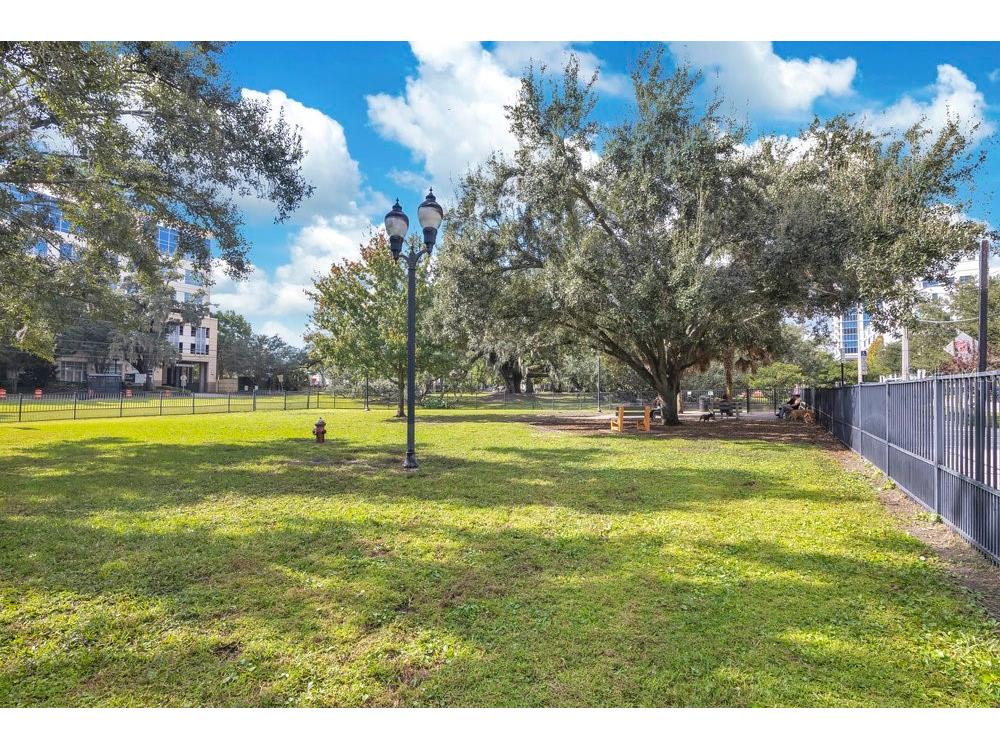 1002 E Robinson Street Orlando FL 32801 O6358964 image51