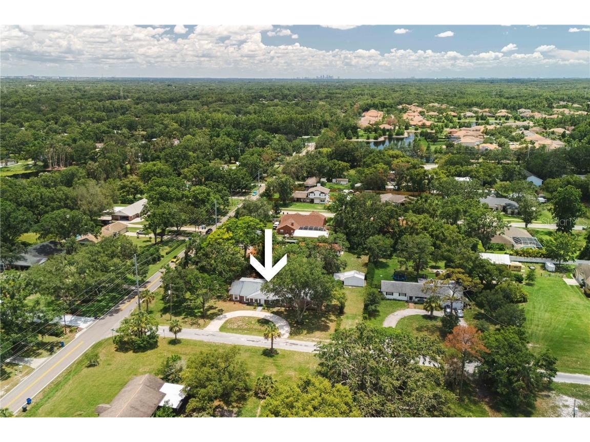 1002 Friendship Lane Lutz FL 33548 TB8403526 image51