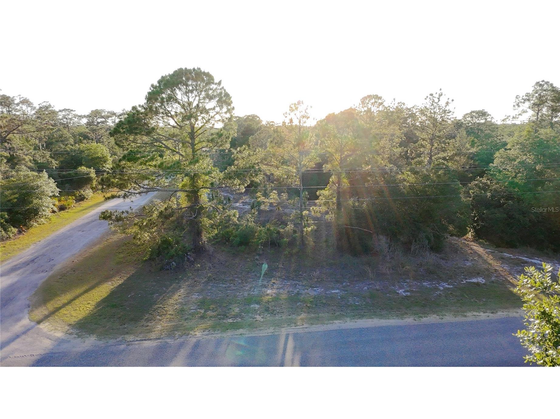 1002 Gardenia Drive Indian Lake Estates FL 33855 S5149670 image1