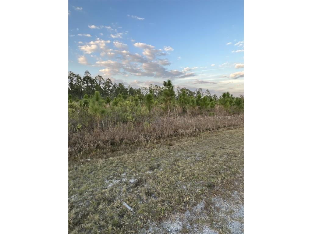 1002 Gardenia Drive Lake Wales FL 33898 - LAKE WALK IN WATER P4928291 image1