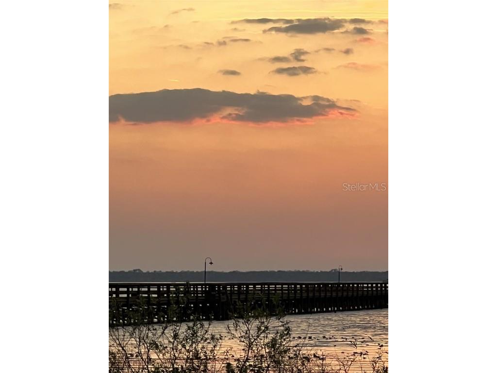 1002 Gardenia Drive Lake Wales FL 33898 - LAKE WALK IN WATER P4928291 image10