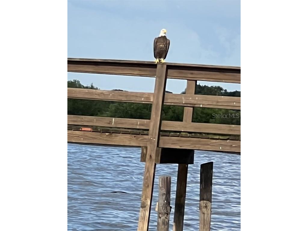 1002 Gardenia Drive Lake Wales FL 33898 - LAKE WALK IN WATER P4928291 image12