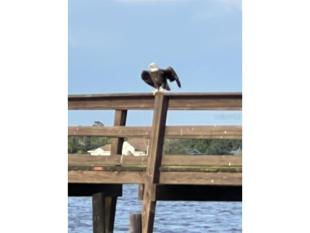 1002 Gardenia Drive Lake Wales FL 33898 - LAKE WALK IN WATER P4928291 image13