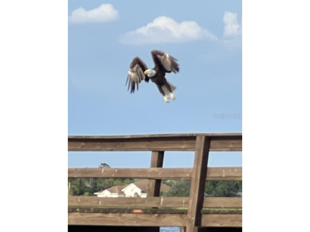 1002 Gardenia Drive Lake Wales FL 33898 - LAKE WALK IN WATER P4928291 image14