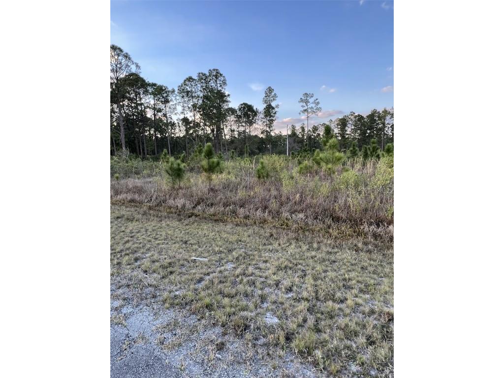 1002 Gardenia Drive Lake Wales FL 33898 - LAKE WALK IN WATER P4928291 image2