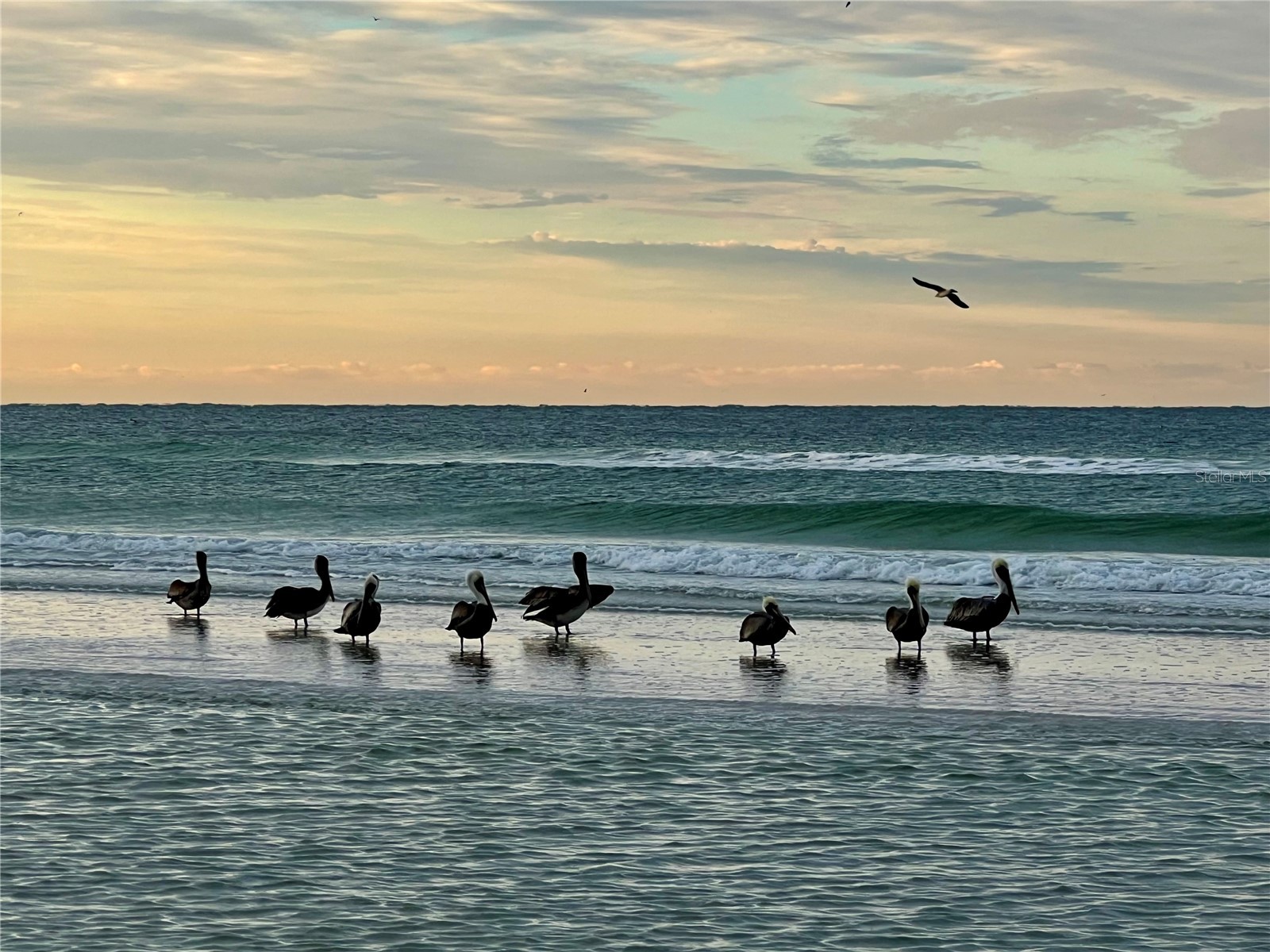 1002 Glebe Lane Sarasota FL 34242 A4679533 image38