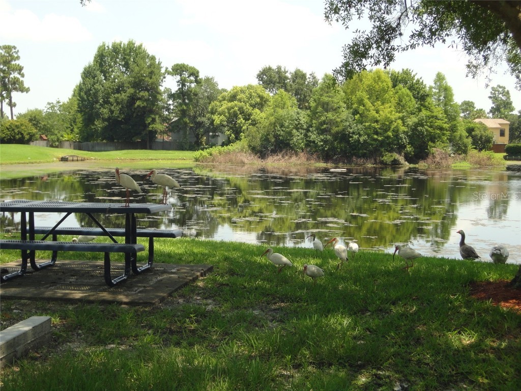 1002 Gwyn Circle Oviedo FL 32765 O6361425 image18