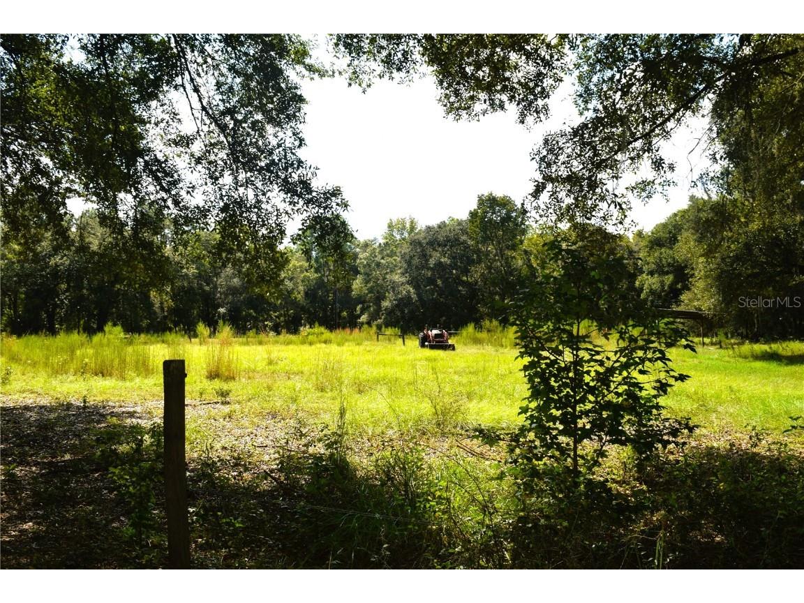 1002 Hug N Farm Lane Zephyrhills FL 33540 L4939643 image1