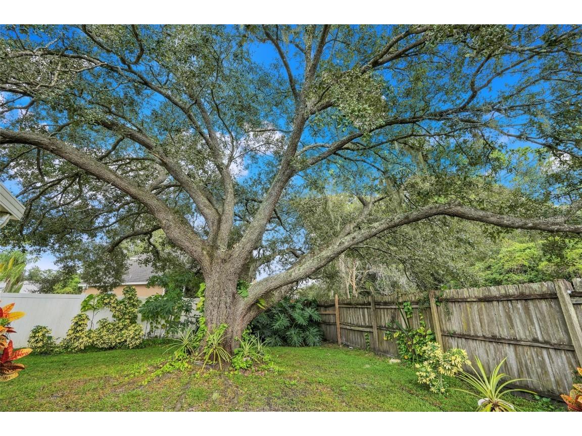 1002 Kelsey Avenue Oviedo FL 32765 O6352139 image42